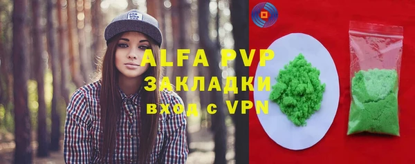 прущие грибы Белоозёрский