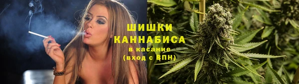 прущие грибы Белоозёрский