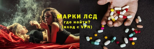 эйфоретик Беломорск