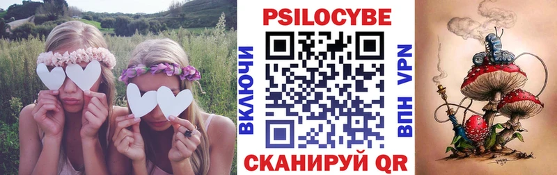 Купить закладки  Мезень  Галлюциногенные грибы ЛСД 
